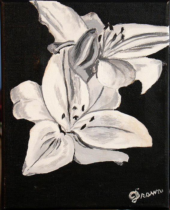 Black and white flower Painting